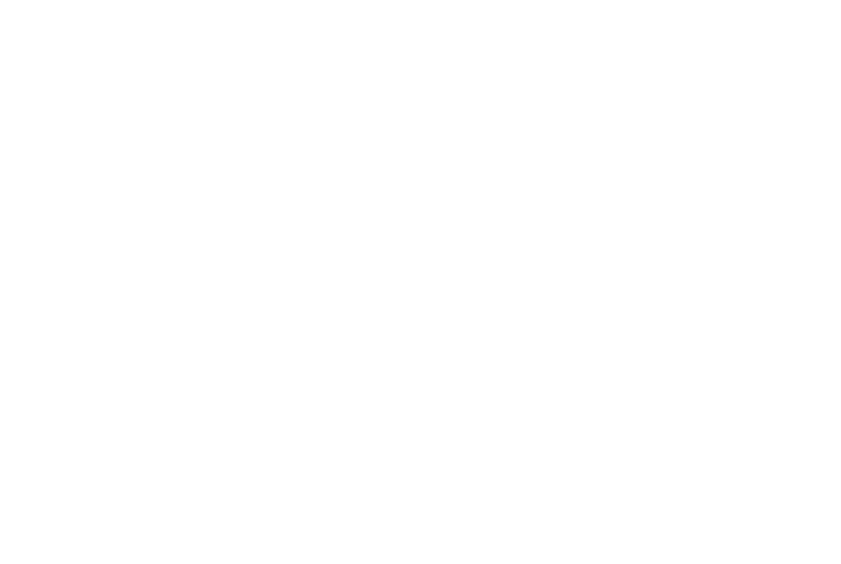 ICONOSOLO
